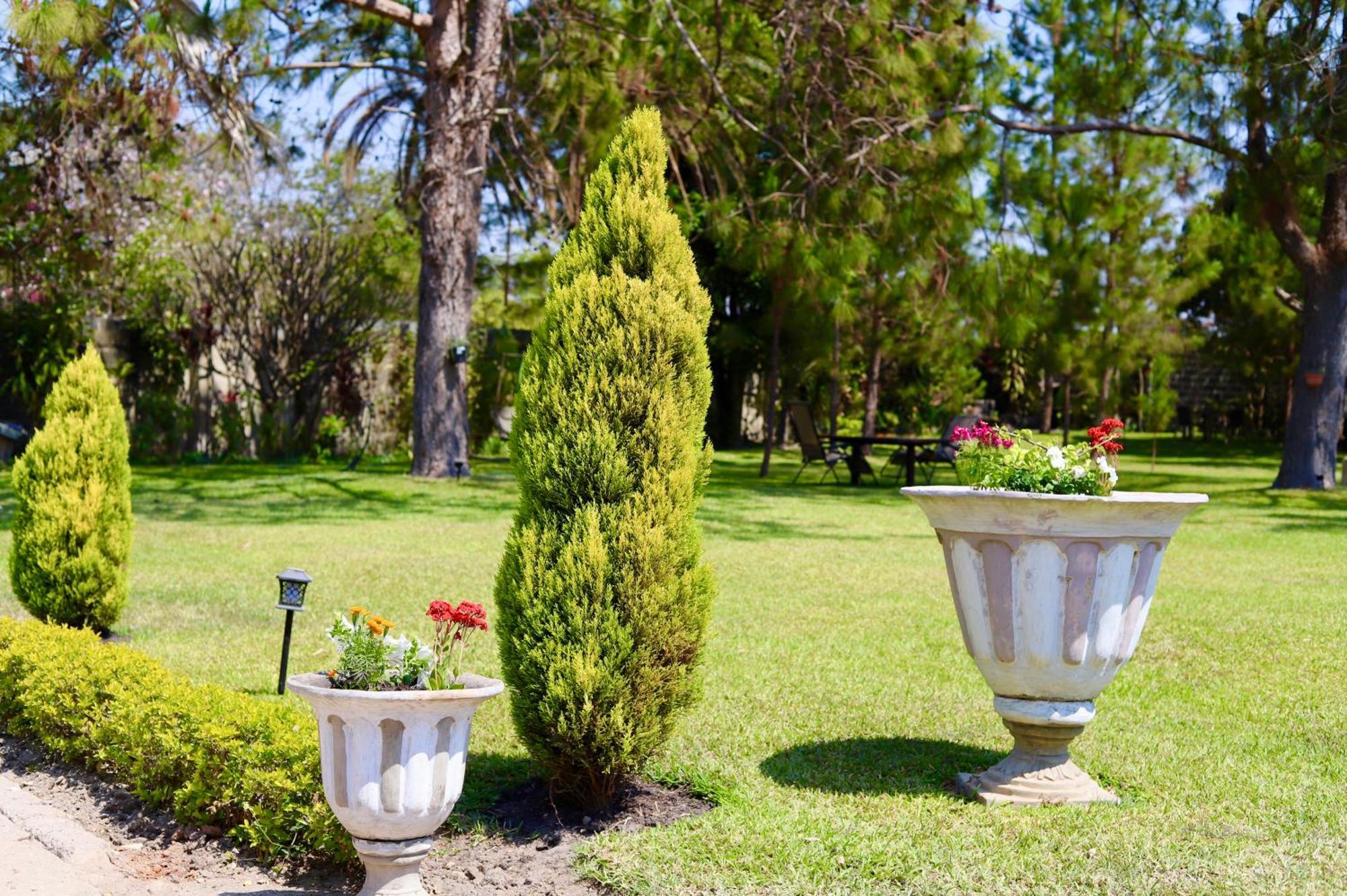 Summerfields & Gardens Lodge Kitwe Extérieur photo
